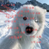 小号连点