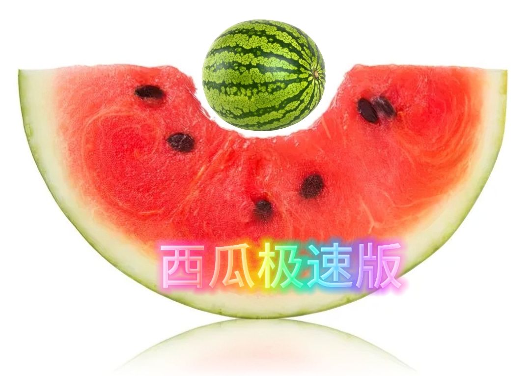 西瓜极速版电视版