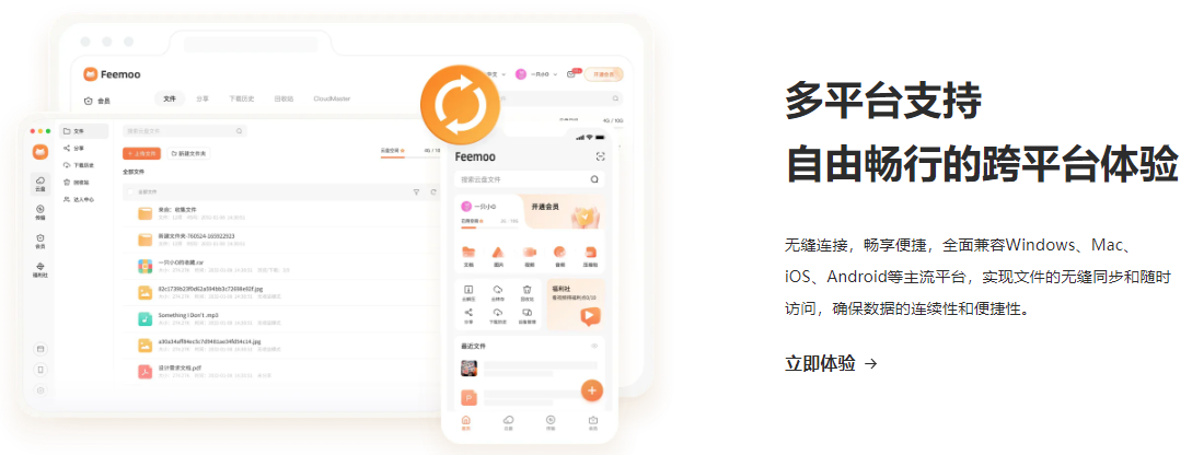 飞猫盘官方正版(Feemoo)