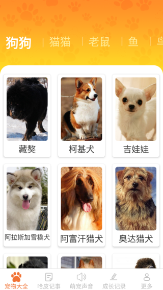亲伴宠物app下载