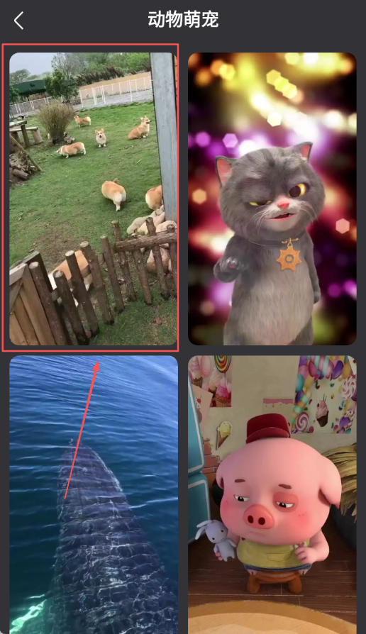 动态壁纸帝 1.1.0 安卓版 1
