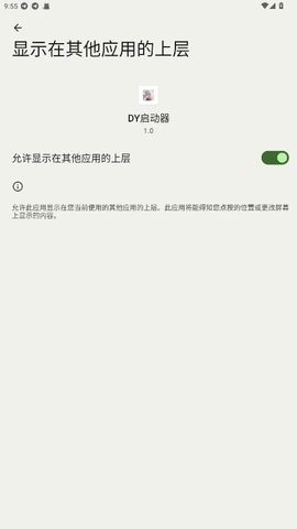 DY启动器 1.0 安卓版 2