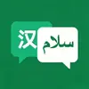乌尔都语翻译