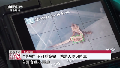 7号电视直播 1.2.1 安卓版 1