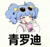 青罗迪容器
