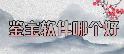 鉴宝软件有哪些