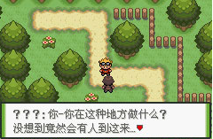 宝可梦不灭之绊最新版(宝可梦集结) 宝可梦不灭之绊最新版(宝可梦集结)