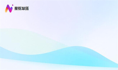 星枢慧搭 v2.0.29 最新版 2