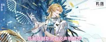 鸣潮陆赫斯武器推荐-鸣潮陆赫斯声骸怎么搭配