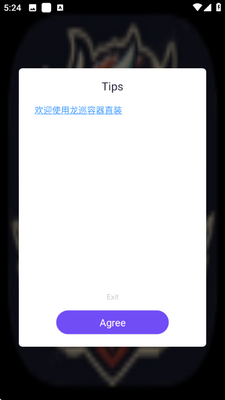 龙巡容器直装 v1.0 安卓版 1