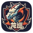 龙巡容器