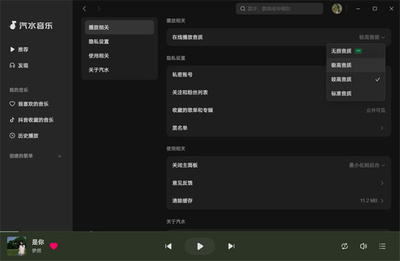 汽水音乐pc版 19.6.0  1
