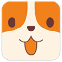 云小宠