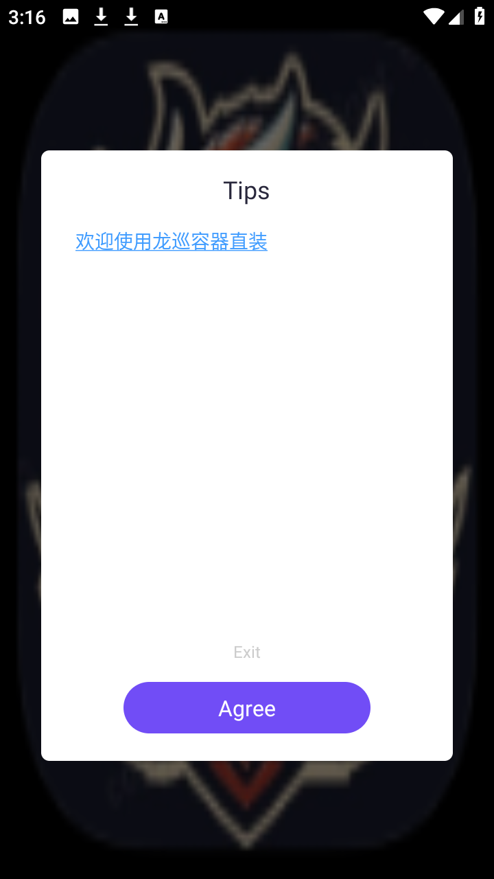 龙巡容器 v1.0 安卓版 0