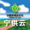 宁供云