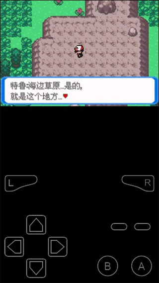口袋妖怪决心