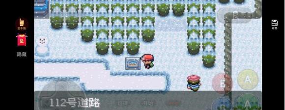 口袋妖怪最强进化准神版