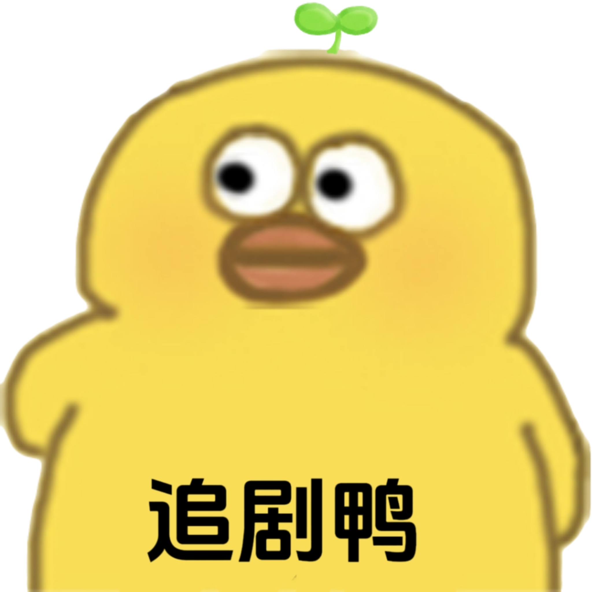 追剧鸭影视