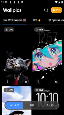 椰树壁纸 v1.0.62 安卓版 1