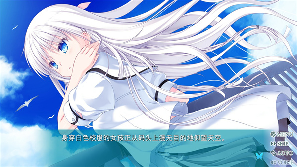 夏日口袋中文版 1.0.5 安卓版 2