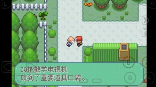 口袋妖怪彼岸花绽放之夜