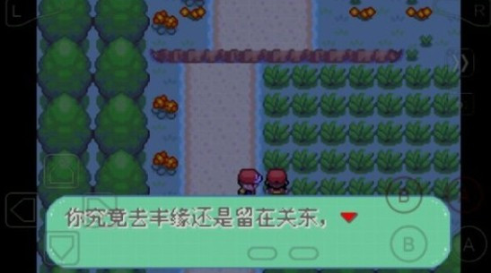 口袋妖怪彼岸花绽放之夜
