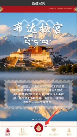 西藏宝贝