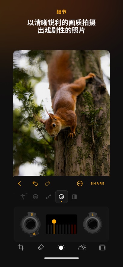 Luminar v3.6 安卓版 1