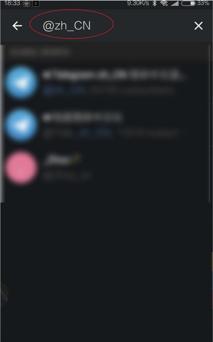 纸飞机海外版怎么设置中文4