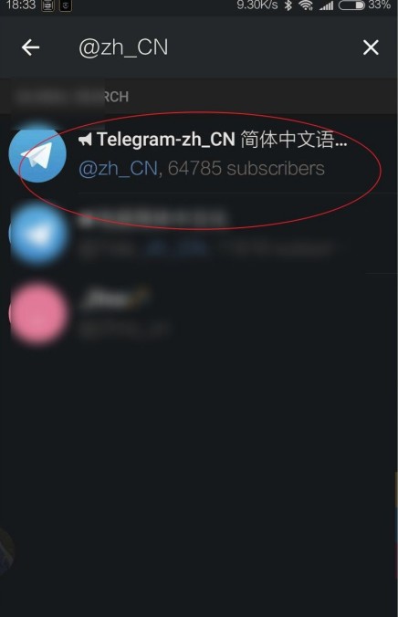 纸飞机海外版怎么设置中文5