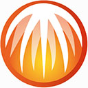 bitcomet手机中文版
