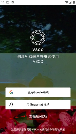 VSCO中文版