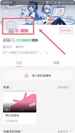  小破站怎么取消自动续费