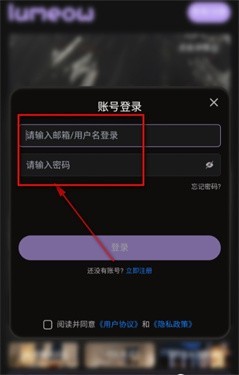 LumeowAI软件使用方式-3