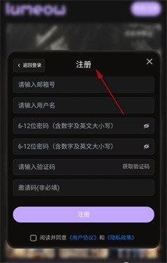 LumeowAI软件使用方式-4