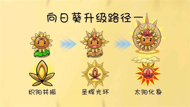 植物升级路线攻略截图4