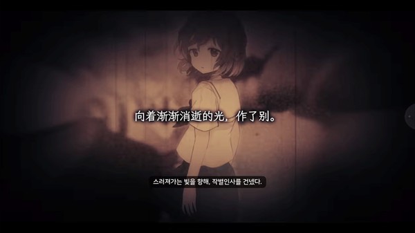 夏末盛开的花galgame