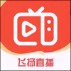 新飞扬香吻版