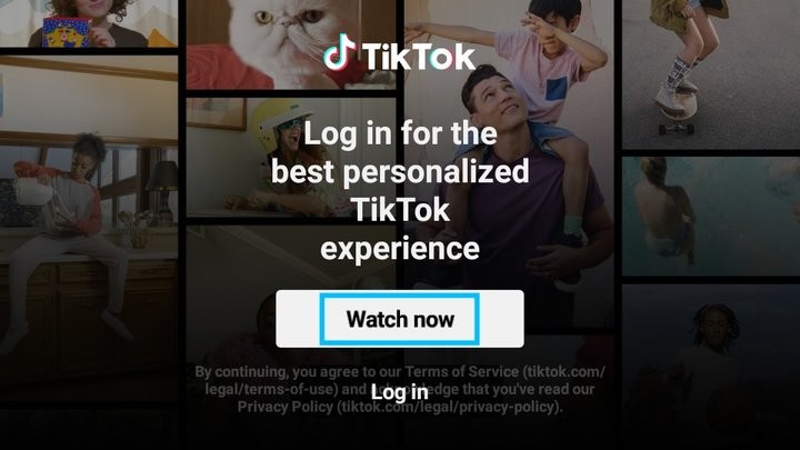 TikTok TV