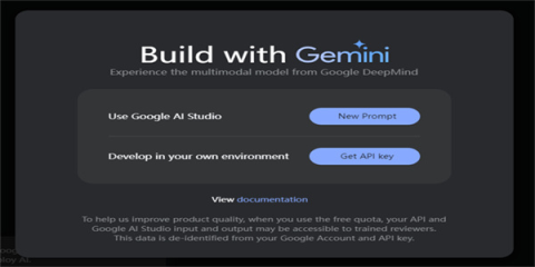 gemini2.5 1.0.913571982 最新版 1