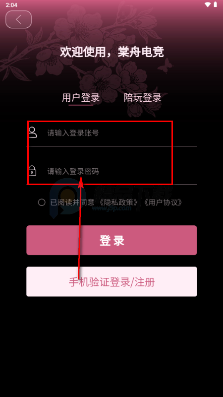 三角洲棠舟电竞app
