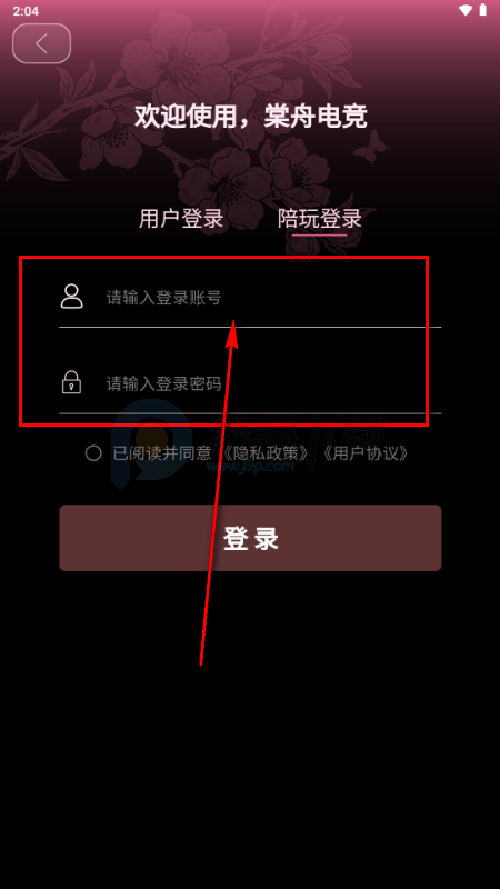 三角洲棠舟电竞app