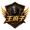 王麻子追踪