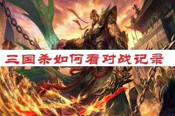 三国杀如何看对战记录-三国杀对战记录有没有其他办法看