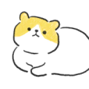 奇怪的猫