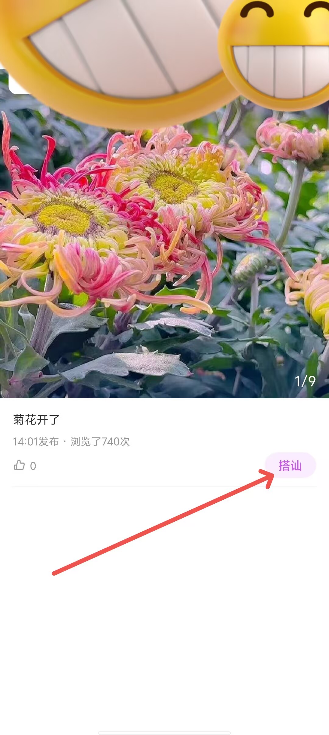 1 - 副本_480x320 - 副本 - 副本_480x320 - 副本 - 副本.jpg