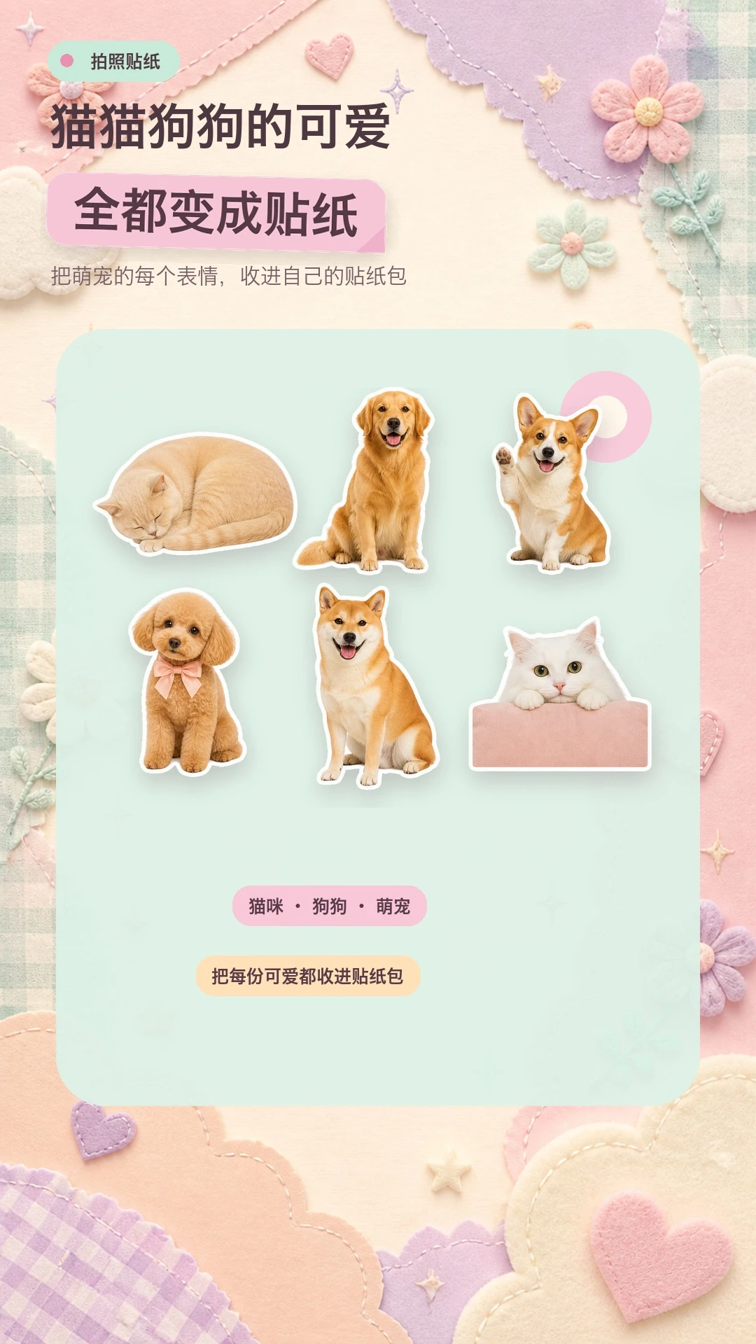 拍照贴纸相机 1.0.0 安卓版 0