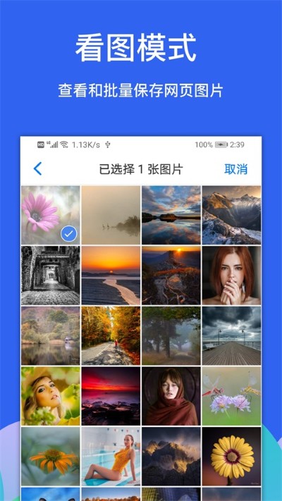 啊呀浏览器 11.0 安卓版 4