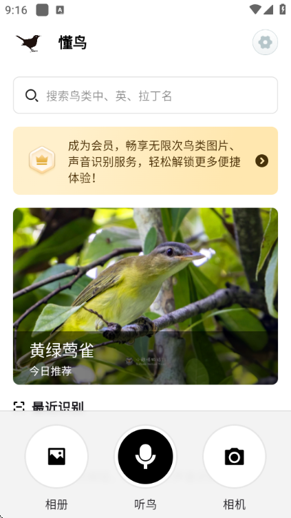 懂鸟全球鸟类识别官方