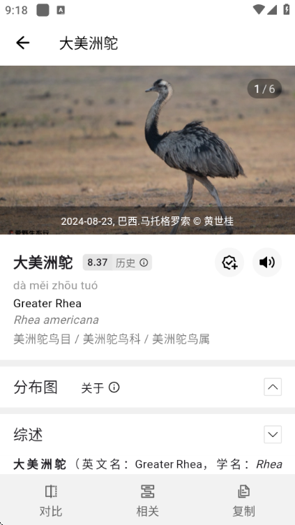 懂鸟全球鸟类识别官方